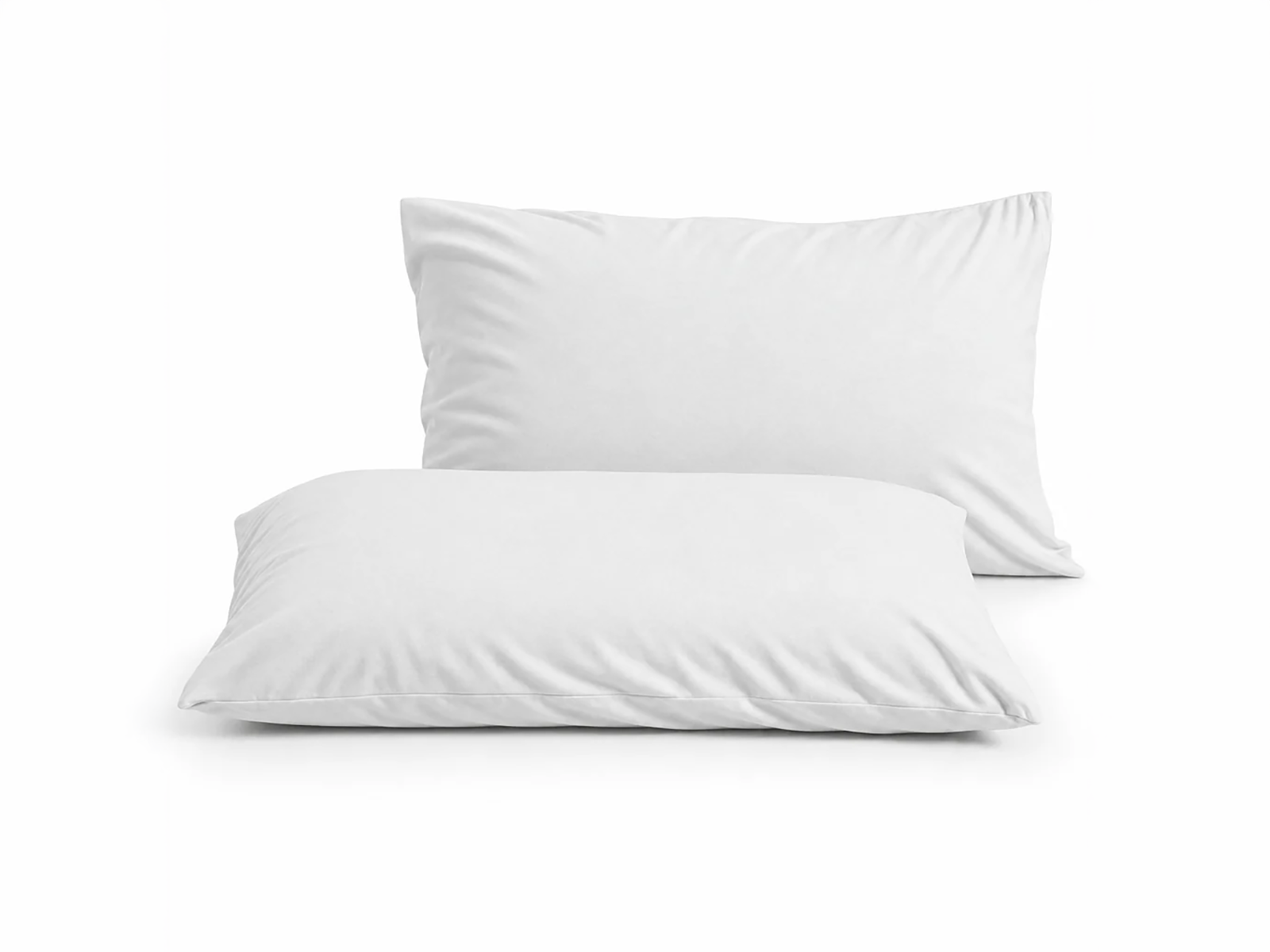 זוג ציפיות Stretch Royal Sealy סילי